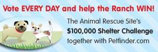 Vote for Forever Home Feline Ranch
